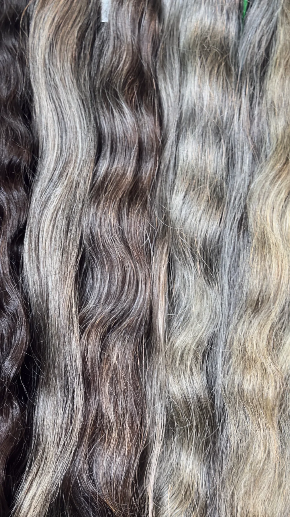 Raw virgin grey human hair, natural silver and white strands among natural shades